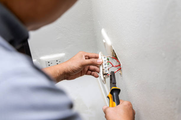 Best Ceiling Fan Installation Electrician  in Pine Valley, CA