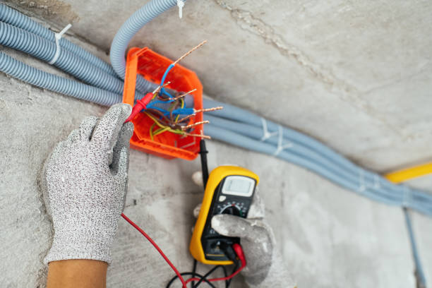 Best Affordable Electrician  in Pine Valley, CA